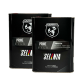 Selenia Abarth 10W-50 2 x 2 Liter